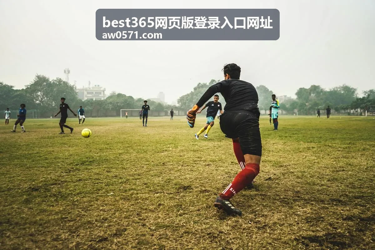 best365网页版登录入口网址账号安全与验证内容封面